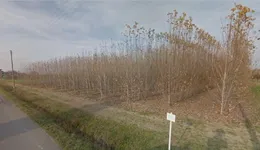 Aste giudiziarie immobiliari online - 8.0