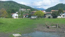 Aste giudiziarie immobiliari online - 6.0