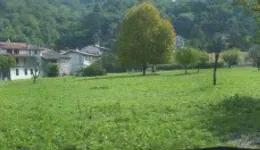 Aste giudiziarie immobiliari online - 1.0