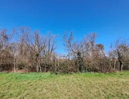 Aste giudiziarie immobiliari online - 9.0