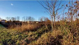 Aste giudiziarie immobiliari online - 10.0