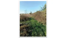 Aste giudiziarie immobiliari online - 11.0