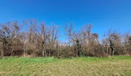 Aste giudiziarie immobiliari online - 9.0