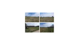 Aste giudiziarie immobiliari online - 4.0