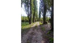 Aste giudiziarie immobiliari online - 7.0