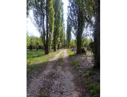 Aste giudiziarie immobiliari online - 6.0