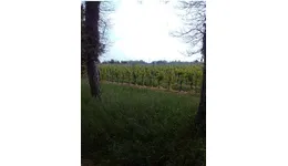 Aste giudiziarie immobiliari online - 8.0