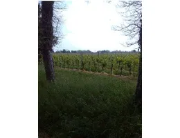 Aste giudiziarie immobiliari online - 7.0