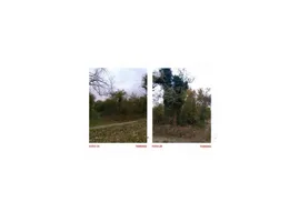 Aste giudiziarie immobiliari online - 5.0