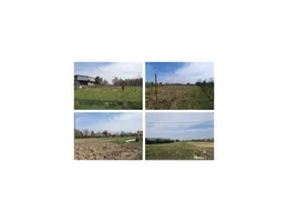 Aste giudiziarie immobiliari online - 10.0