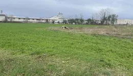 Aste giudiziarie immobiliari online - 10.0