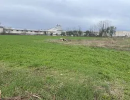 Aste giudiziarie immobiliari online - 10.0