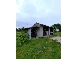 Aste giudiziarie immobiliari online - 6.0