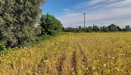 Aste giudiziarie immobiliari online - 6.0