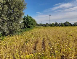 Aste giudiziarie immobiliari online - 12.0