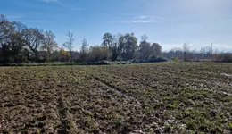 Aste giudiziarie immobiliari online - 11.0