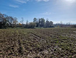 Aste giudiziarie immobiliari online - 4.0