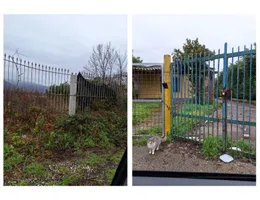 Aste giudiziarie immobiliari online - 1.0