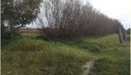 Aste giudiziarie immobiliari online - 12.0