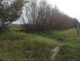 Aste giudiziarie immobiliari online - 7.0