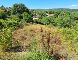 Aste giudiziarie immobiliari online - 8.0