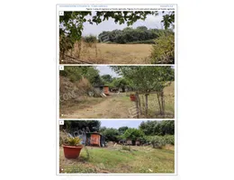 Aste giudiziarie immobiliari online - 5.0