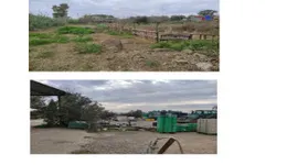 Aste giudiziarie immobiliari online - 12.0