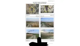 Aste giudiziarie immobiliari online - 12.0