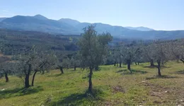 Aste giudiziarie immobiliari online - 3.0