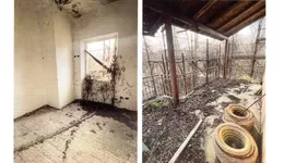 Aste giudiziarie immobiliari online - 4.0