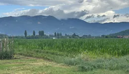 Aste giudiziarie immobiliari online - 9.0