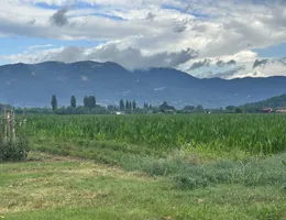 Aste giudiziarie immobiliari online - 9.0