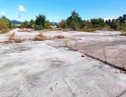 Aste giudiziarie immobiliari online - 11.0