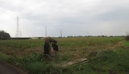 Aste giudiziarie immobiliari online - 3.0