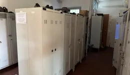 Aste giudiziarie mobiliari online - 11.0