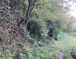 Aste giudiziarie immobiliari online - 5.0