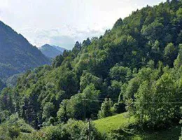 Aste giudiziarie immobiliari online - 2.0