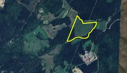 Aste giudiziarie immobiliari online - 8.0