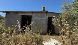 Aste giudiziarie beni immateriali online - 11.0