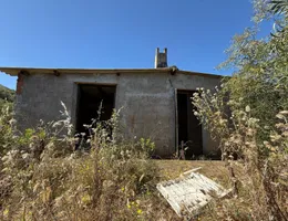 Aste giudiziarie beni immateriali online - 11.0