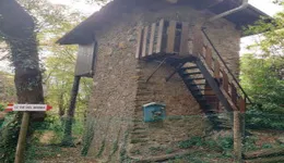 Aste giudiziarie immobiliari online - 1.0