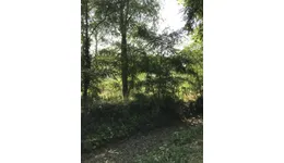 Aste giudiziarie immobiliari online - 3.0