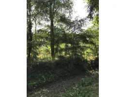 Aste giudiziarie immobiliari online - 3.0