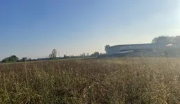 Aste giudiziarie immobiliari online - 10.0