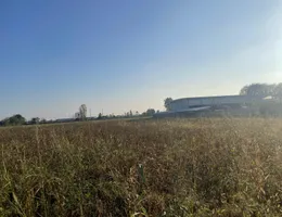 Aste giudiziarie immobiliari online - 8.0