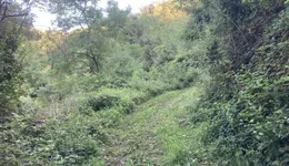 Aste giudiziarie immobiliari online - 8.0