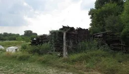 Aste giudiziarie immobiliari online - 2.0