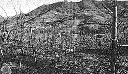 Aste giudiziarie immobiliari online - 6.0