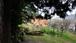 Aste giudiziarie immobiliari online - 9.0