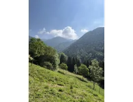 Aste giudiziarie immobiliari online - 4.0
